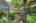Blurred preview of media: 260105-40