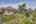 Blurred preview of media: k1
