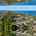 Blurred preview of media: 45