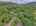 Blurred preview of media: DJI_20260616120453_0889_D_90_D_91_D_easyHDR