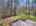 Blurred preview of media: DJI_20260424125412_0660_D_1_D_2_D_easyHDR
