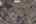 Blurred preview of media: Screenshot 2026-06-03 at 9.11.30â¯PM