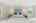 Blurred preview of media: 2bobwhite_061