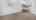 Blurred preview of media: Living 01
