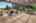 Blurred preview of media: 35