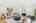 Blurred preview of media: 2bobwhite_050