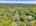 Blurred preview of media: DJI_20260603131204_0260_D_1_D_2_D_easyHDR