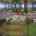 Blurred preview of media: hf_20261005_073633_d41be6bc-9953-438f-abac-2beb8ee1028d