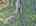 Blurred preview of media: DJI_20250802144309_0664_D_5_D_6_D_easyHDR