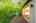 Blurred preview of media: 64 Ravina Cres, Ancaster _ Nathan Ferro132