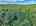 Blurred preview of media: DJI_20260829152414_0411_D_2_D_3_D_easyHDR