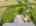 Blurred preview of media: DJI_20250807151119_0812_D