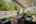 Blurred preview of media: 46-5034_NW_Deerhaven_Ter