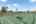 Blurred preview of media: riverglen-9