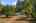 Blurred preview of media: 1-29