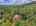 Blurred preview of media: DJI_20260616120648_0895_D_6_D_7_D_easyHDR