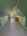 Blurred preview of media: Top of Shop 2