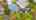 Blurred preview of media: 97