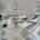 Blurred preview of media: Dorie Lu-29