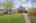 Blurred preview of media: 260055-35a