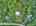 Blurred preview of media: DJI_20260818120808_0004_D_5_D_6_D_easyHDR