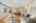 Blurred preview of media: 1-13