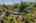 Blurred preview of media: Aerial 10