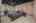 Blurred preview of media: 40