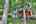 Blurred preview of media: IMG_3123_4_5_easyHDR