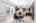 Blurred preview of media: 19
