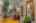 Blurred preview of media: DSC_3308