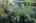 Blurred preview of media: 4