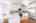 Blurred preview of media: 015