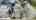 Blurred preview of media: DJI_20260603133743_0594_D