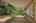 Blurred preview of media: 1-29