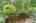 Blurred preview of media: 277 Main Street Bolton Massachusetts Job 38618 0011