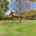 Blurred preview of media: DSC06536
