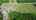 Blurred preview of media: DJI_0184