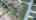 Blurred preview of media: DJI_0910