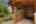 Blurred preview of media: 285 Silver Queen Drive, Breckenridge, CO 80424-Web-2