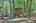 Blurred preview of media: IMG_4646_7_8_easyHDR