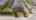 Blurred preview of media: 255