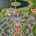 Blurred preview of media: DJI_20261007104240_0016_D_FPP