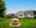 Blurred preview of media: D9