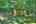 Blurred preview of media: IMG_0553_4_5_easyHDR