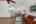 Blurred preview of media: 96 Jardin De Mer Pl-26