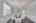 Blurred preview of media: DSC08479