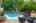 Blurred preview of media: 34
