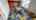 Blurred preview of media: Gateway-Head-Start-05262017_074049