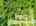 Blurred preview of media: 2-926-0082